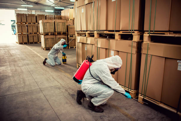 Wasp Removal Services in Savage, MD