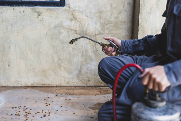 Best Termite Control Services  in Savage, MD